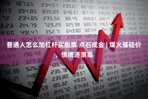 普通人怎么加杠杆买股票 点石成金 | 煤火催硅价，情绪逐浪高