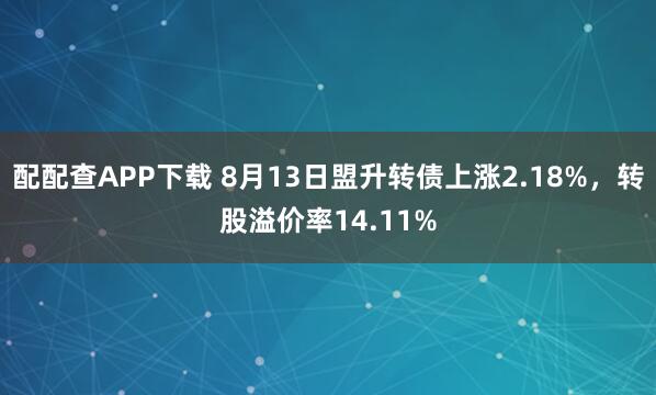 配配查APP下载 8月13日盟升转债上涨2.18%，转股溢价率14.11%